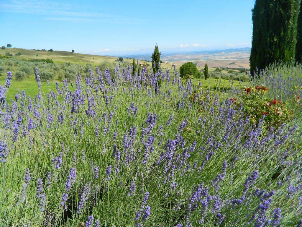 Le Rogheta Villa Campiglia d'Orcia Exterior photo